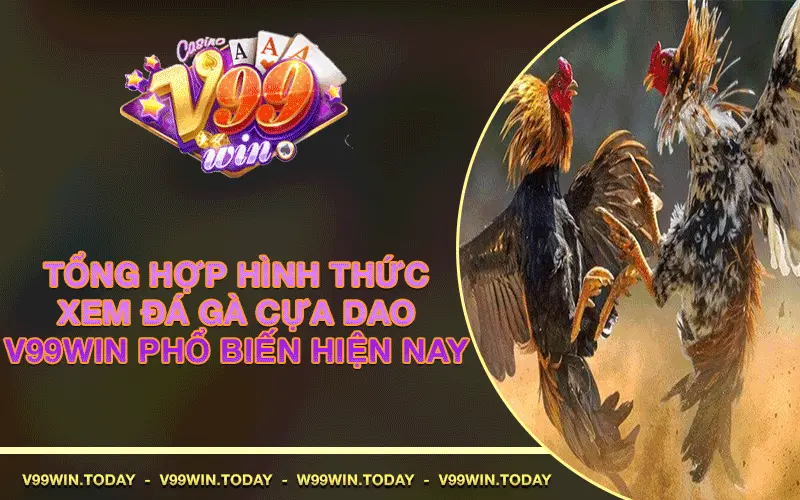 Tổng hợp hình thức xem Đá Gà Cựa Dao V99win phổ biến hiện nay