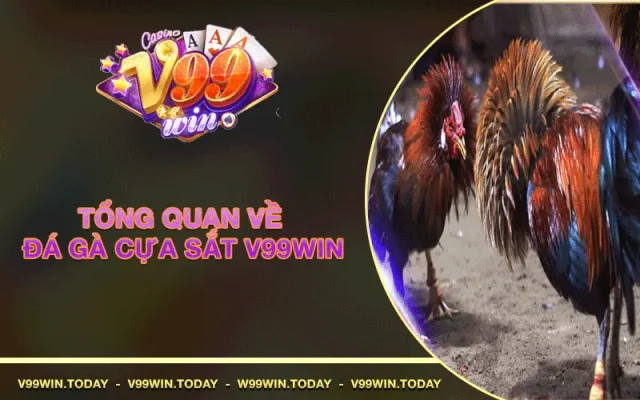 đá gà cựa sắt v99win