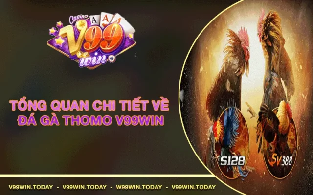 Đá gà thomo v99win