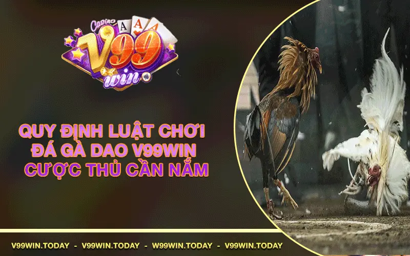 Quy định luật chơi Đá Gà Cựa Dao V99win cược thủ cần nắm