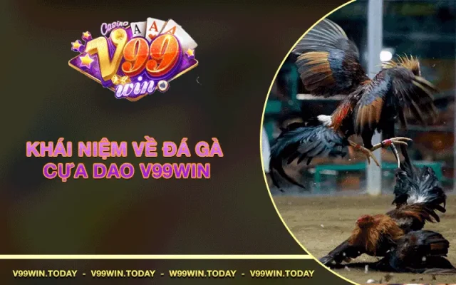 Đá gà cựa dao v99win